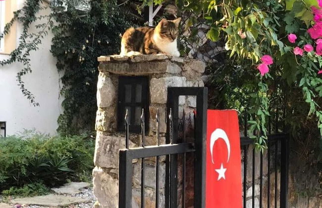 Villa Yasemin - Foto 23