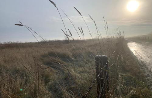 Haus Heimathafen Fedsiel - Foto 19