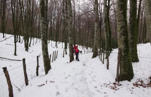 La Posada Nueva - Foto 19