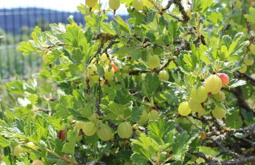 Holiday Home Almyssen by Interhome - Foto 33