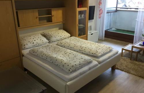 Gemütliche 1Z FeWo in Schönwald mit Balkon, Schwimmbad, Sauna, Fitness - Foto 1