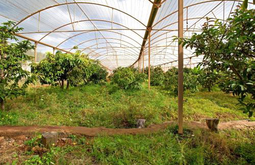 Finca Tropical - Foto 25