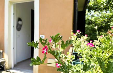 La Ciliegia - Foto 7