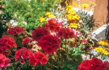 Agriturismo Santo Stefano - Foto 12