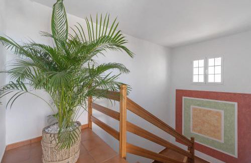 One life one dream Gran Canaria - Foto 9