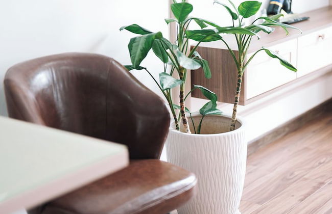 N Queen Apartment Hotel - Foto 57