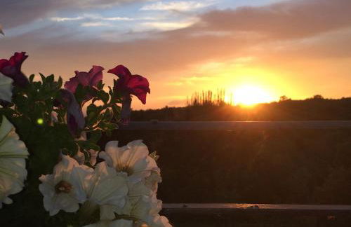 Salto di Gatto - Foto 14