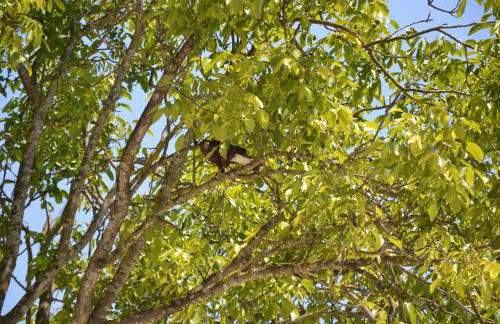 Azienda Agrituristica La Tenuta del Falco - Foto 15