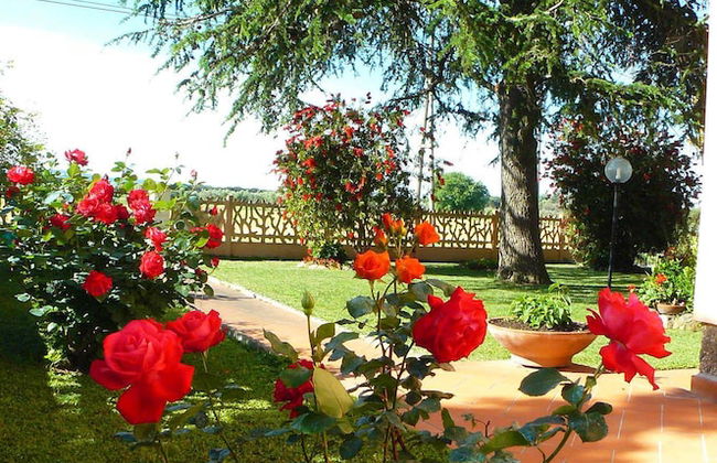 La Mimosa - Photo 49