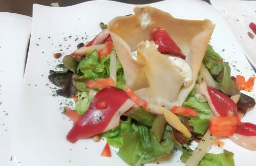 Chalet charmant à Saint-Jean-du-Gard - Foto 16