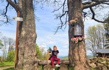 Dom na Kamieńcu - Photo 65