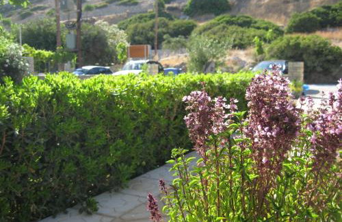 "Villa Kanavos" apts - Photo 60