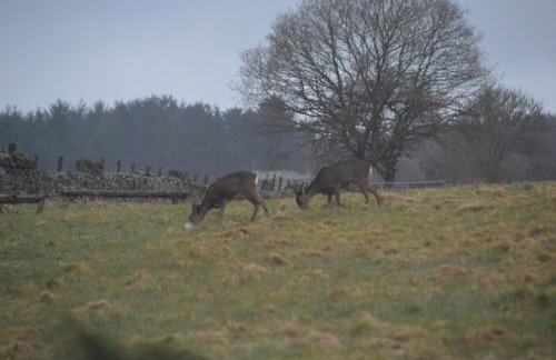 Middlehead Cottages - Foto 10
