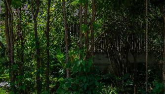 Suítes Casa Kamayurá - Foto 5