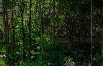 Suítes Casa Kamayurá - Foto 5