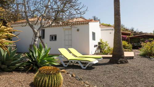 Casa Arándano - Foto 4