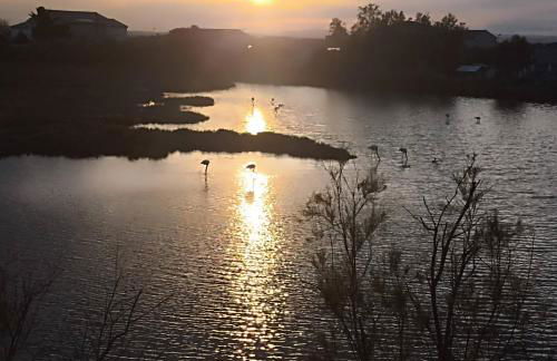Janislove34 Maison 1 Chambre avec accès piscine dans résidence à Palavas les flots - Foto 28