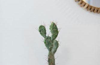 Sunny Valley Apartment - Foto 34