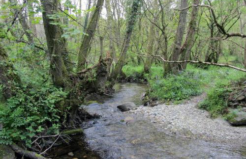 Llantood Farm Cottage, Cardigan - Foto 15