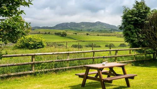 Derwin-Fawr - Foto 4