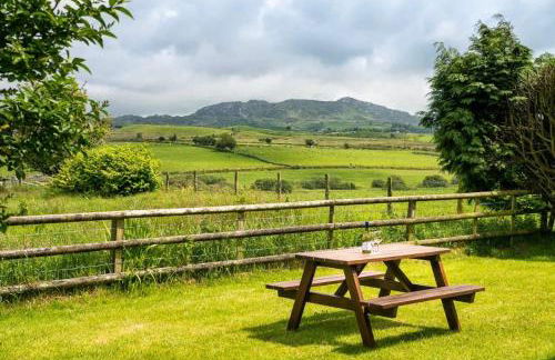 Derwin-Fawr - Photo 4