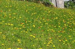 Woodburn ground-floor apartment in quiet setting in Pitlochry - Foto 30