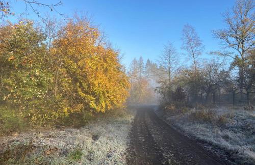 Gittas Paradiesperle - Foto 28