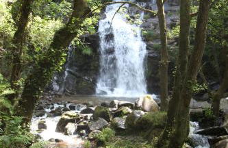 Casa de Guadalupe - Foto 30