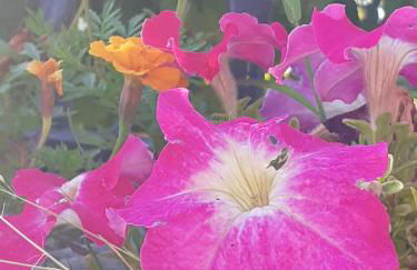 Casa rural El refugi platja d'aro 4 - Foto 59