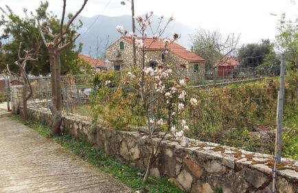 The Stone House-Zacharatos Nikolaos - Photo 6