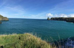 Bossiney Cove Cottage - Foto 47