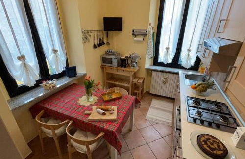 i tulipani - Foto 37