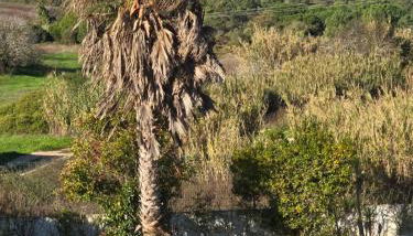 Sunset Apartment by Sesimbra Sun Sea - Foto 5, Garden