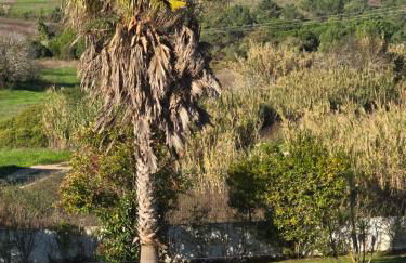 Sunset Apartment by Sesimbra Sun Sea - Foto 5