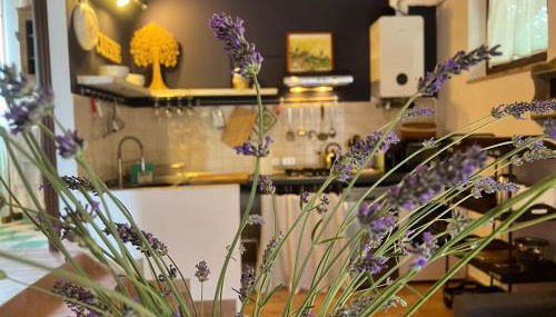 Le case di Lisetta Holiday homes - Photo 4