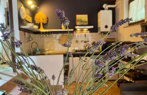 Le case di Lisetta Holiday homes - Photo 4