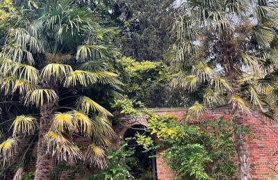 Alexander House - Foto 51