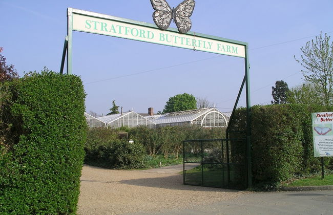 Simpsons Cottage - Grove Road Cottages - Foto 27