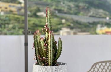 La San Juanita - Foto 5