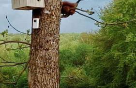 Gîte du Chalet - Le studio en pleine nature - Foto 15