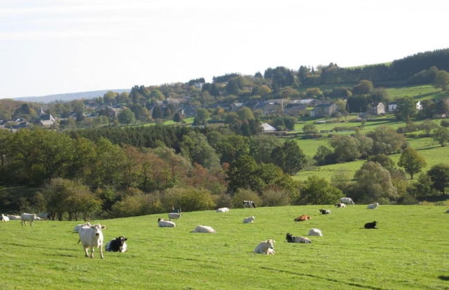 Luxurious Holiday Home With Sauna in Fauvillers - Foto 32