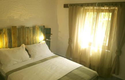 Tvrdic Honey - Photo 12