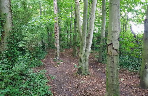 Stone's throw from beach and forest, stunning country walks - Foto 41