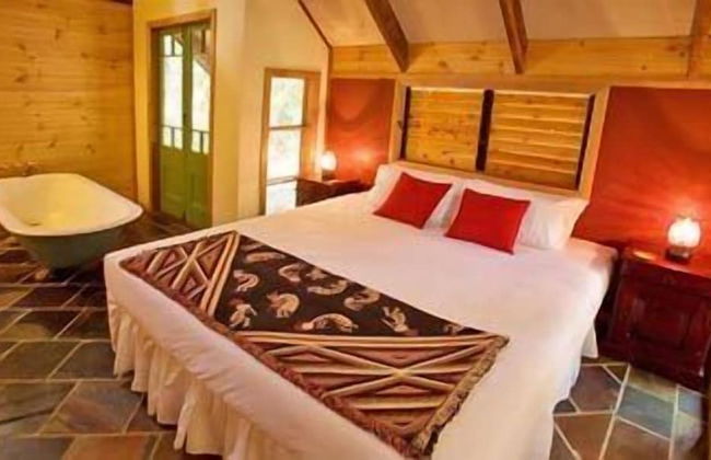 Rainforest Ranch - Photo 2