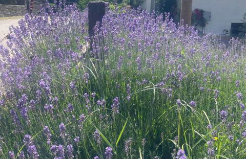 Bilocale per gli amanti dello sci - Foto 24