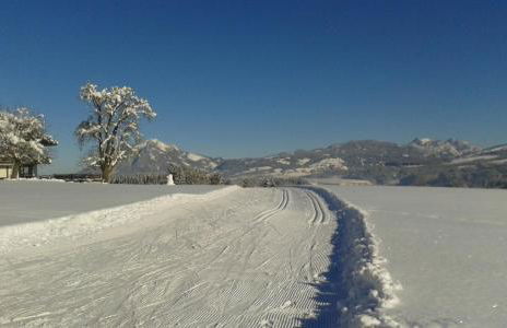 Haus Hochwies - Foto 15