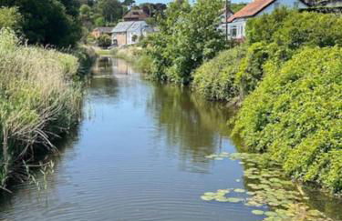 Shangri la at Beauport - Foto 21