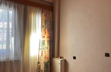 MetsoVillas στο κέντρο του Μετσόβου - Photo 34