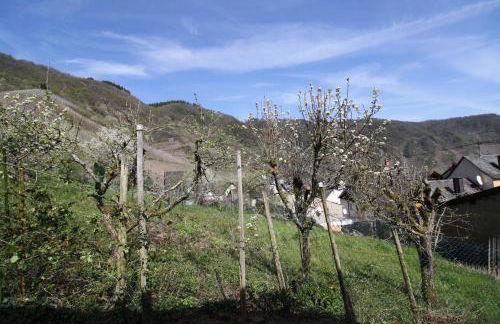 Komfort Ferienwohnung FEWO74-1 - Foto 45