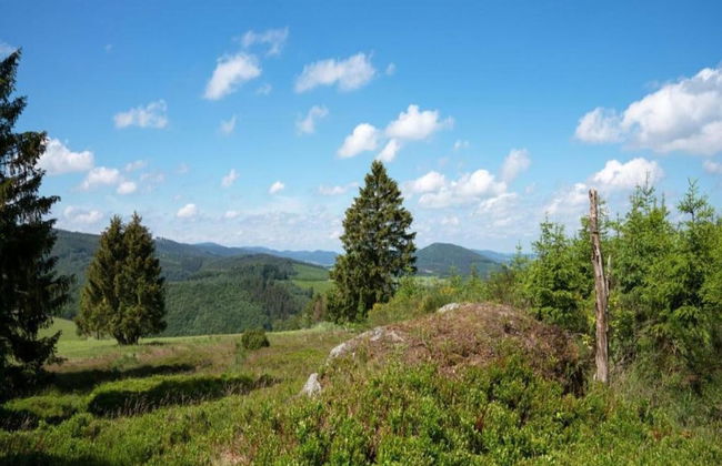 Wohnung in Deifeld mit Garten - Photo 37